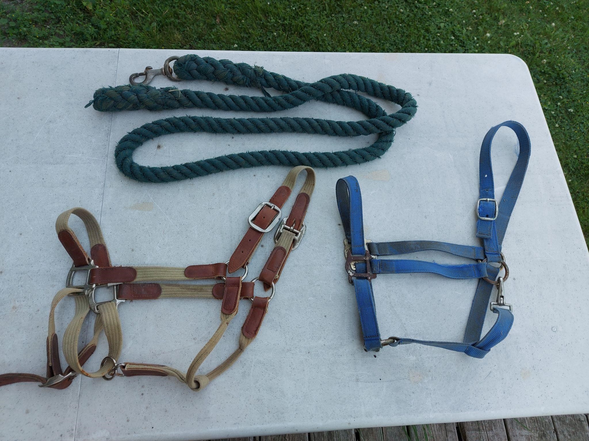 Lead Rope & 2 Halters