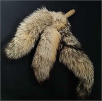 Three unknown soft animal tails