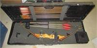 Vintage compound bow with arrows, extra