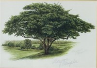 Maryrose Wampler Print "Hawthorn Tree"