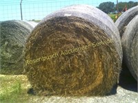 (2) Bales 9% Protein Klein Grass Hay