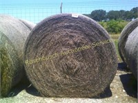 (2) Bales 9% Protein Klein Grass Hay
