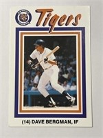 Magnificent Sports Cards!