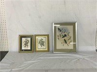 3 BIRD PRINTS FRAMED