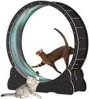 ULN - Cat Treadmill & Wheel