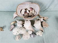 Basket of Seashells