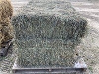 10 Square Bales of Mixed Hay