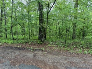 2-acre wooded lot on Tallent Place