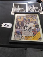 Pittsburgh Steelers Wall Hanging, Signed  WWF Pict