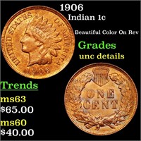 1906 Indian 1c Grades Unc Details