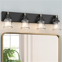 Espird Industrial 4-Light Vanity Fixture