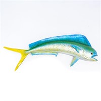 Mahi-Mahi Tropical Satlwater Half Mount Wall Art