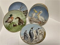 8 Bavarian Collector Plates - Water Birds
