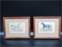 2 Small Horses / 2 petits chevaux - Litho's