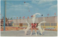 3"x5" Postcard Canine Pyramid to Mr. William C.