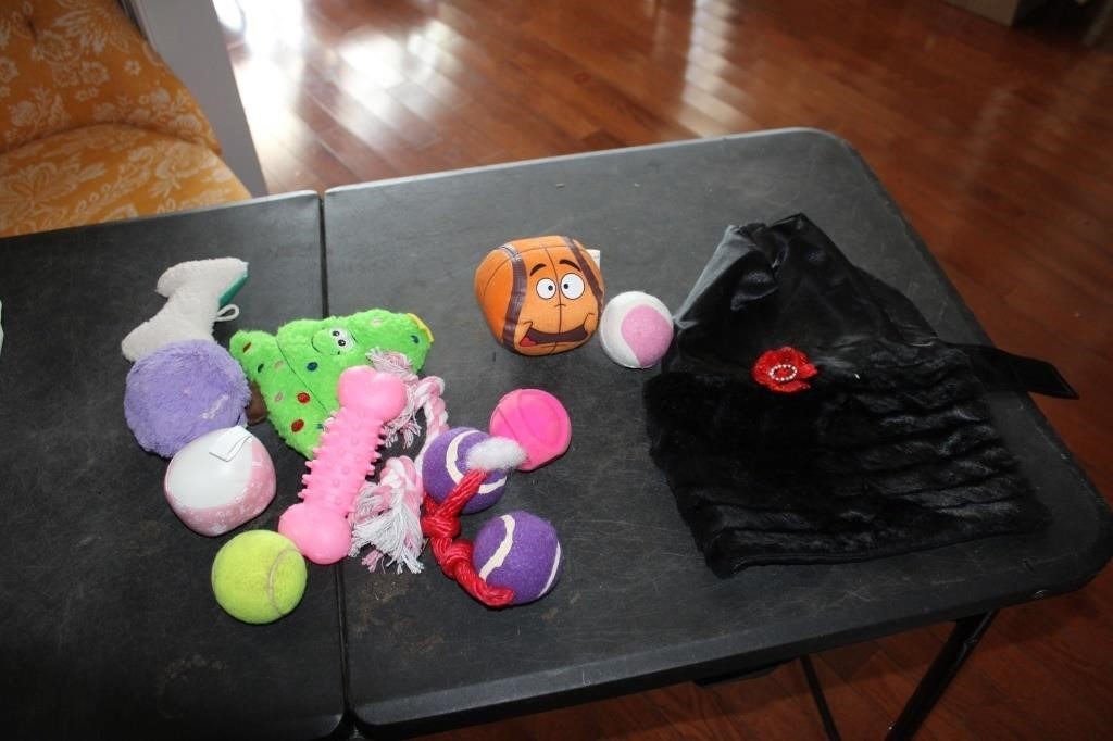 Dog toys, clothes