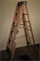 Werner 6' Fiberglass & Alum Ladder