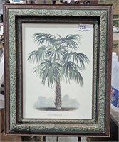 Framed & Matted Copy of Art - Deisgner Palm Tree