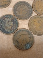 12 indian head pennies