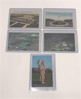 Lot of 5 Vintage University of Illinois Postcards