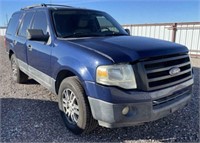 2010 Ford Expedition (AZ)