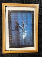 Tumbling Dolphins Artwork w/Frame