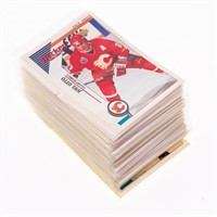 PANINI 1993-94 Hockey Sticker Collection