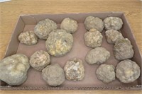 Lot of 12 Geodes 2"-4"Wide