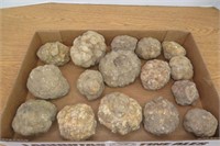 16 Geodes 2" to 4" Wide