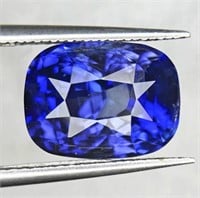Natural Cushion Royal Blue Sapphire (Flawless-VVS)