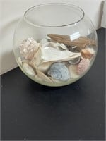 Sea Shells and fish bowl