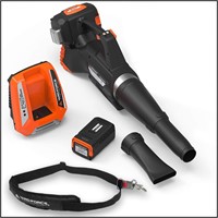 $334  Yard Force Li-Ion Blower: Battery & Charger