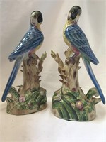 Birds set of two Andrea by sadek