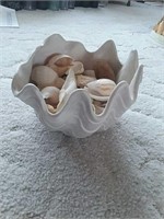 Shell Planter With Shells