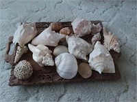 Carved Wooden Serving Tray With Sea Shells