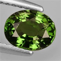Natural  Green Sapphire 1.61 Cts {Flawless-VVS}