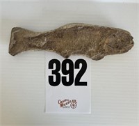 Fish Fossil