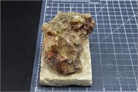 Wavelite  Arkansas  mineral specimen