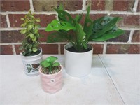 3 Faux Plants - Succulents + More