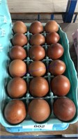 18 Fertile Copper Maran Eggs
