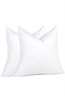 FEATHER SQUARE BED PILLOWS 19IN 2PCS