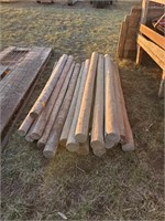 19 Wooden fence posts