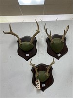(3) Antler Mount On Wooden Plaques