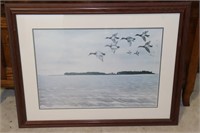 Watercolor of Flying Canvasback Ducks 32" X 25"