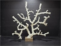 CORAL MOUNTED ON WOOD - 16" TALL X 15" WIDE