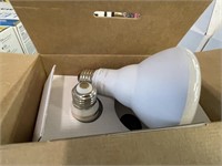 2 5000k light bulbs
