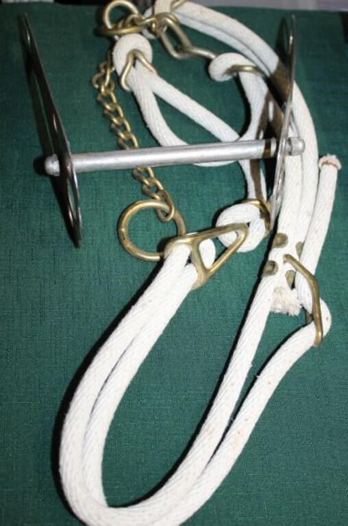 SELECTION OF HORSE TACK