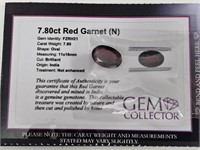 7.80ct Red Garnet (N)