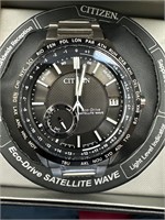Citizen Satellite Wave Watch