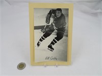 Bill Gadsby , 1944/64 BEEHIVE Photo Hockey